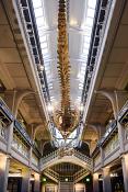 manchester museum 9-2023 8767